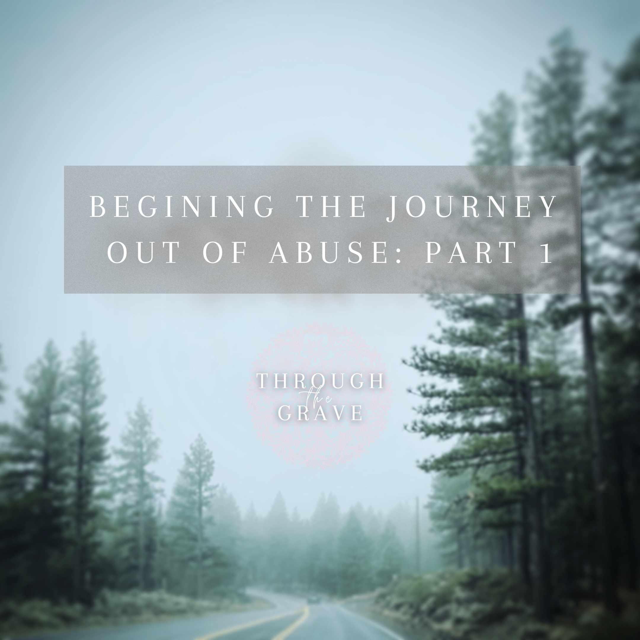 The Journey Out of Abuse: Part 1