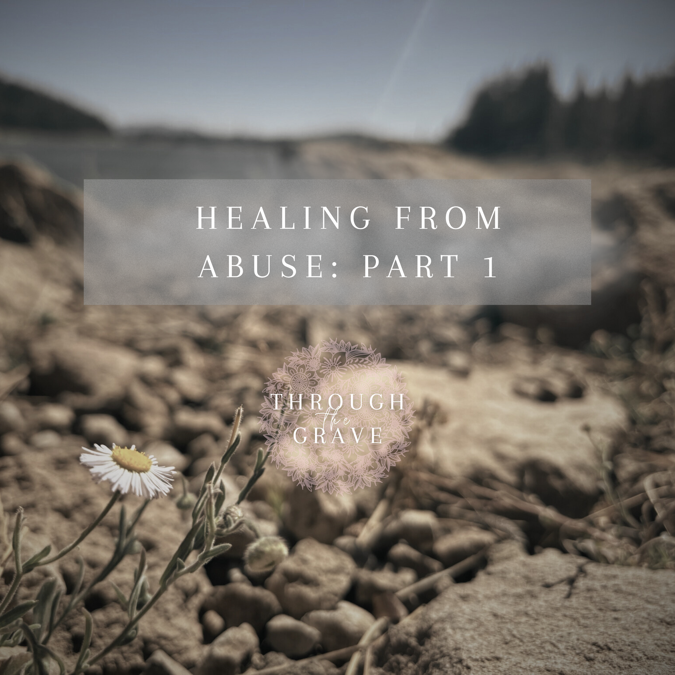 Healing from Abuse: Part 1